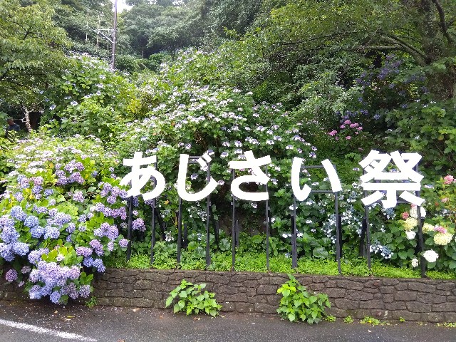 f:id:rainbow_peak:20260622212316j:image f:id:rainbow_peak:20260622212316j:image