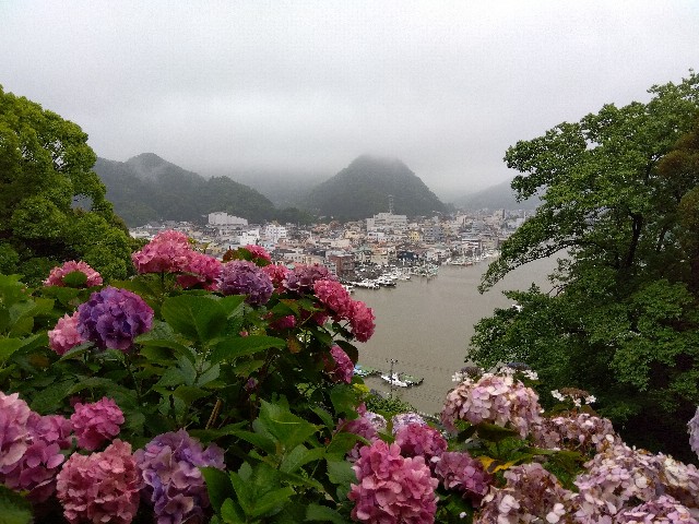 f:id:rainbow_peak:20260622212409j:image f:id:rainbow_peak:20260622212409j:image