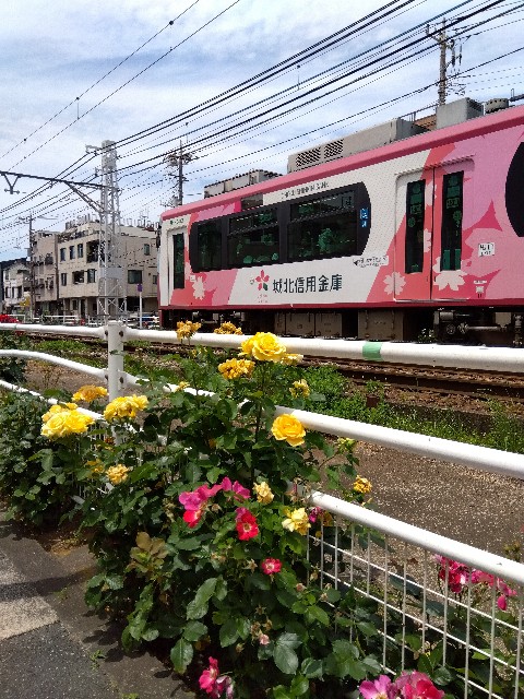 f:id:rainbow_peak:20260627202400j:image