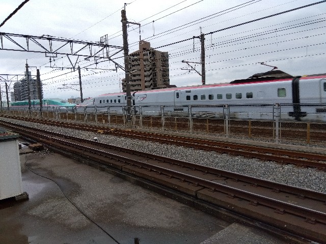 f:id:rainbow_peak:20260628191609j:image