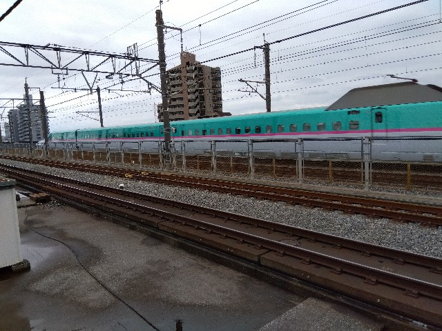 f:id:rainbow_peak:20260628191622j:image