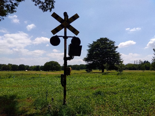 f:id:rainbow_peak:20260806125435j:image