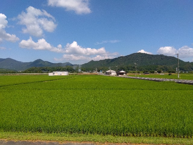 f:id:rainbow_peak:20260811202333j:image