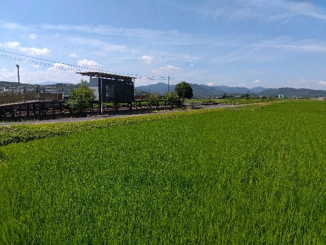 f:id:rainbow_peak:20260811202410j:image