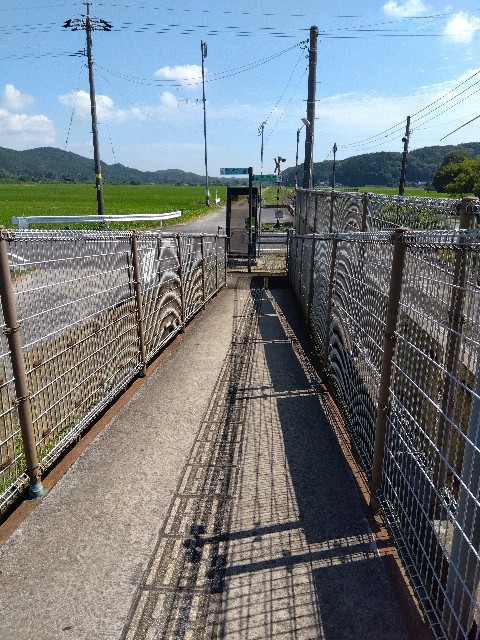 f:id:rainbow_peak:20260811202721j:image
