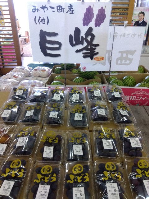 f:id:rainbow_peak:20260811202859j:image