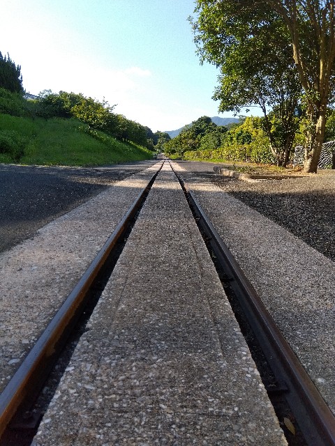 f:id:rainbow_peak:20260825200532j:image