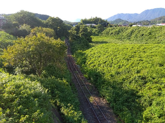 f:id:rainbow_peak:20260825200642j:image