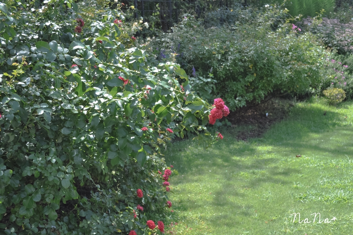f:id:rainbowcolor77:20200925222112j:plain f:id:rainbowcolor77:20200925222112j:plain