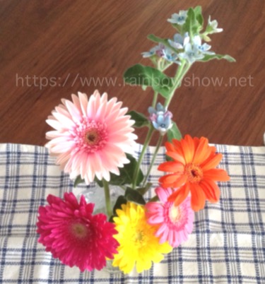 f:id:rainbowshow:20200419170325j:plain f:id:rainbowshow:20200419170325j:plain