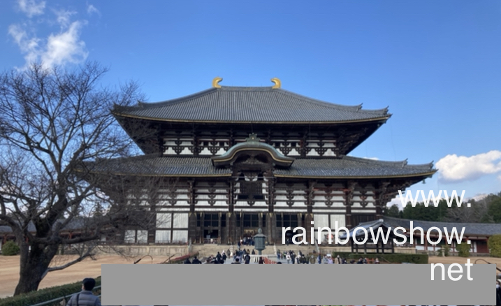 f:id:rainbowshow:20220319215433p:plain
