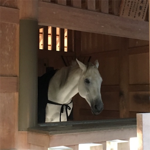 f:id:rainbowstation:20191109215748j:image f:id:rainbowstation:20191109215748j:image