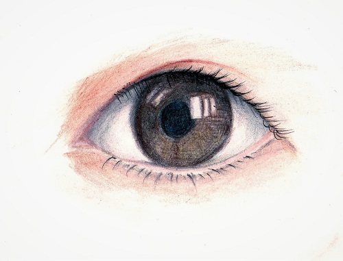 色鉛筆 目 イラスト リアル 目 イラスト リアル 色鉛筆