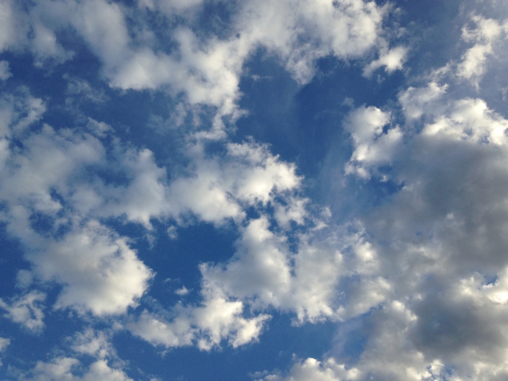 f:id:rainbowworld:20161021060012j:plain f:id:rainbowworld:20161021060012j:plain