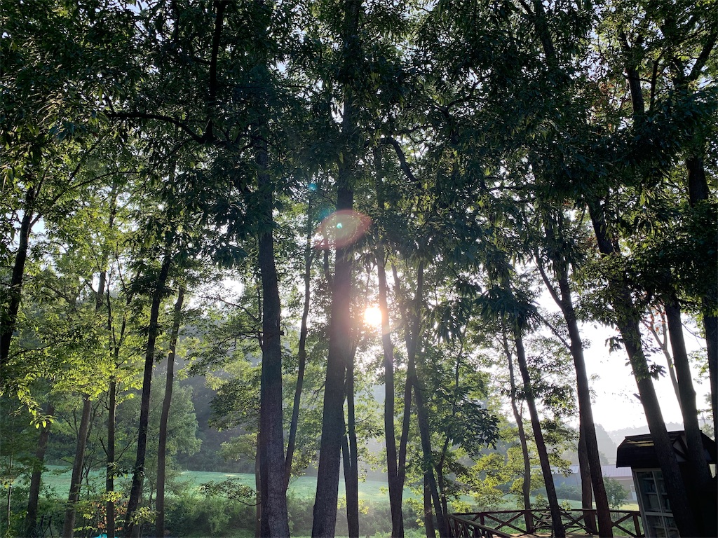 f:id:raincat210:20190820215357j:image f:id:raincat210:20190820215357j:image