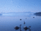 f:id:raindebris:20090113202728j:image:small