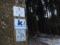 f:id:raindebris:20090114184402j:image:small