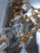 f:id:raindebris:20090114195303j:image:small