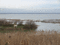 f:id:raindebris:20090209213615j:image:small