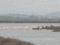 f:id:raindebris:20090209231453j:image:small