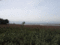 f:id:raindebris:20090209233619j:image:small