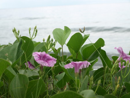 20100308101402