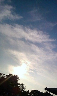 f:id:rainfall:20100710174442j:image