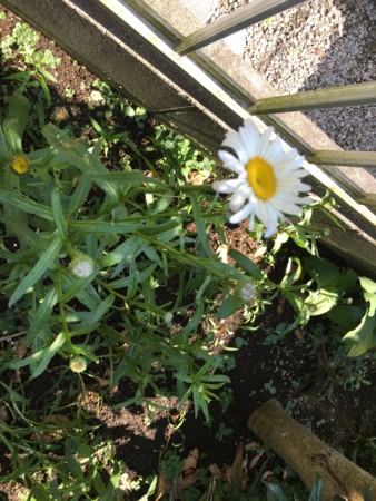 f:id:rainfall:20160618145028j:image