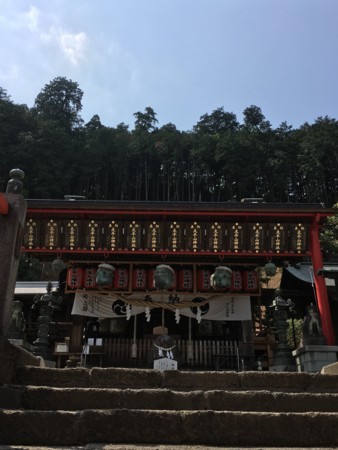 f:id:rainfall:20170529141317j:image
