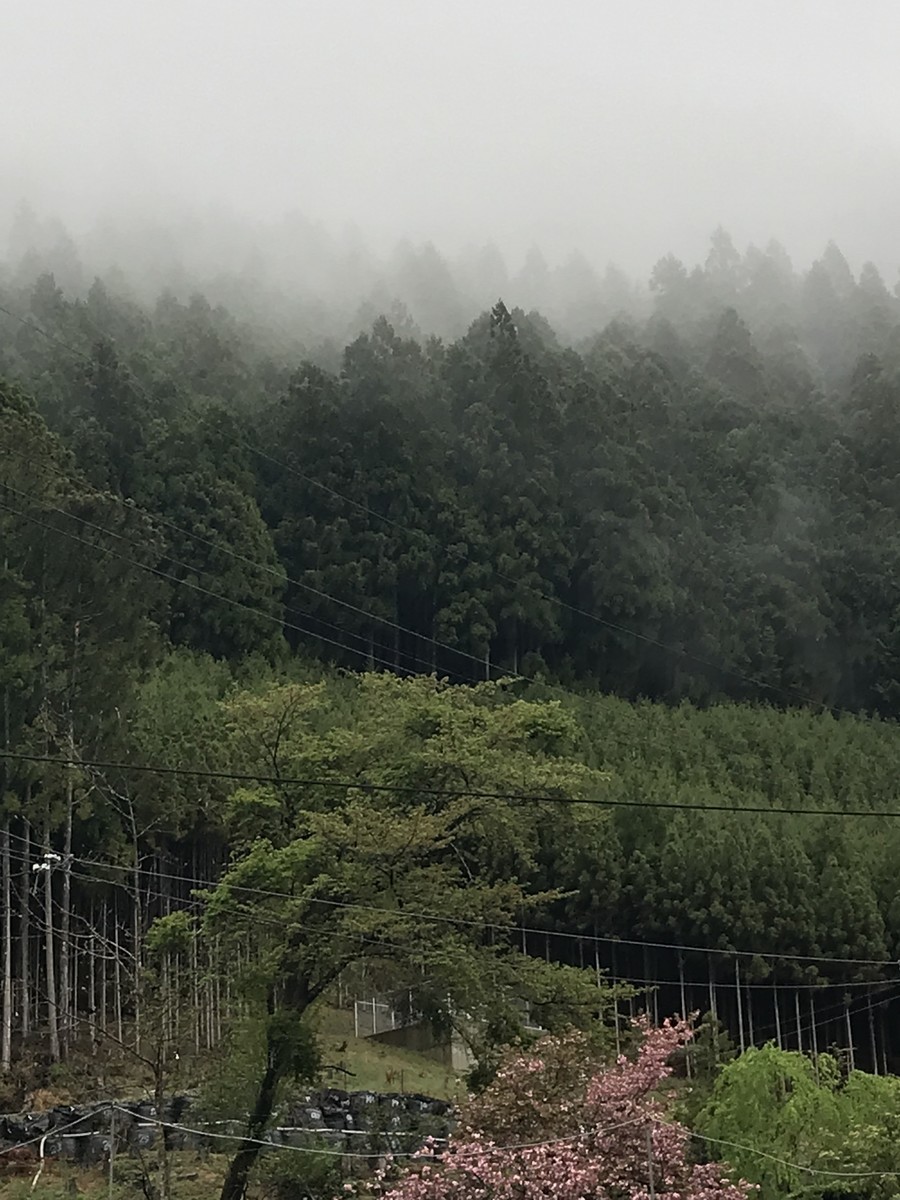 どの 好きルート を進んでも なぜか奈良にたどり着く不思議旅 その11 天河弁財天 後編 ふぇるまーた２