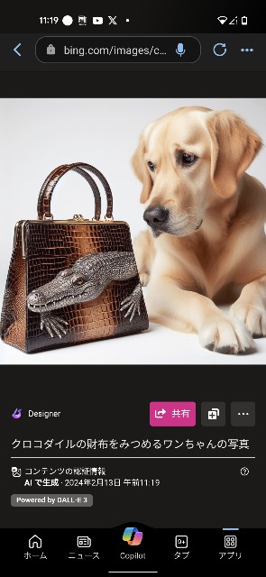 f:id:rainmaker894:20240213112442j:image