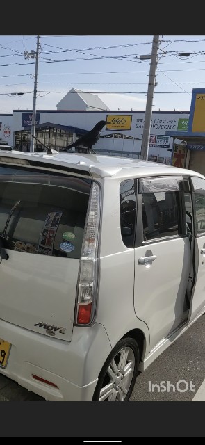 f:id:rainmaker894:20240228091204j:image