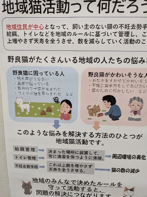 f:id:rainmaker894:20241111143921j:image