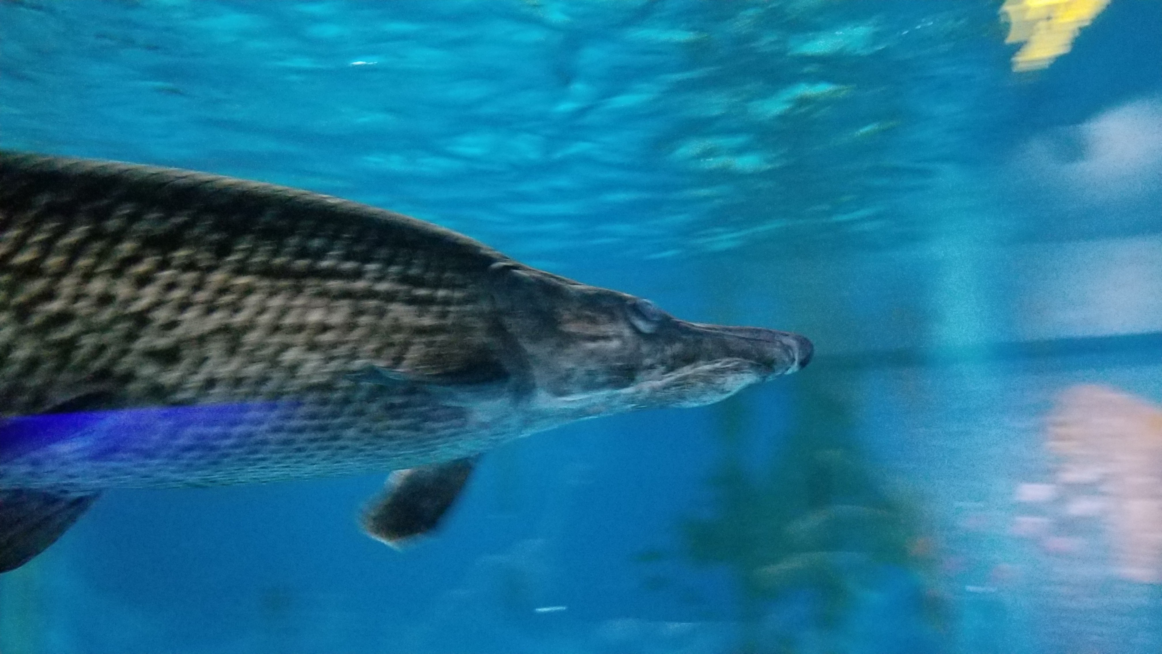 f:id:rainy_trout88:20210815233125j:image