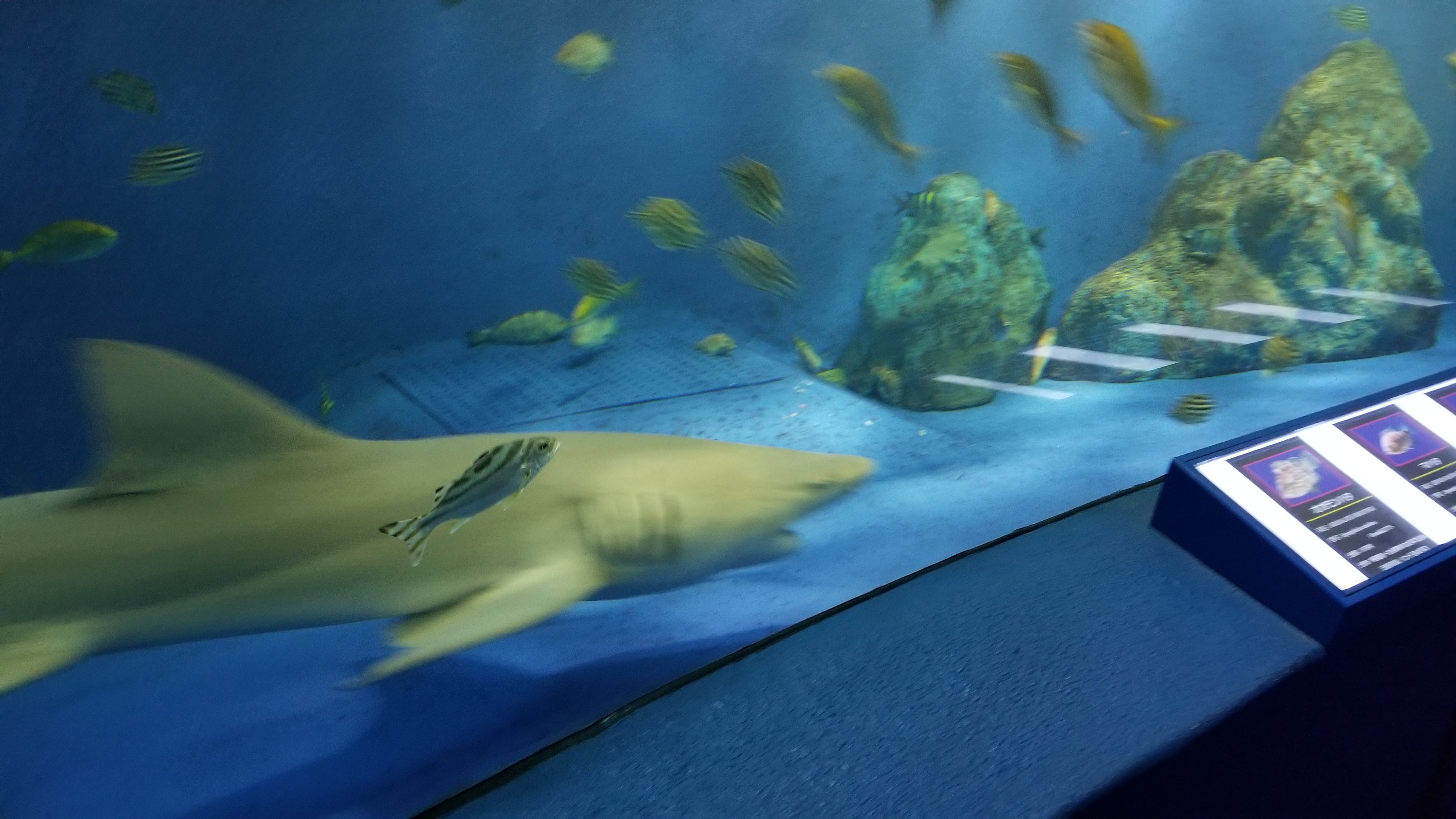 f:id:rainy_trout88:20210815233937j:image