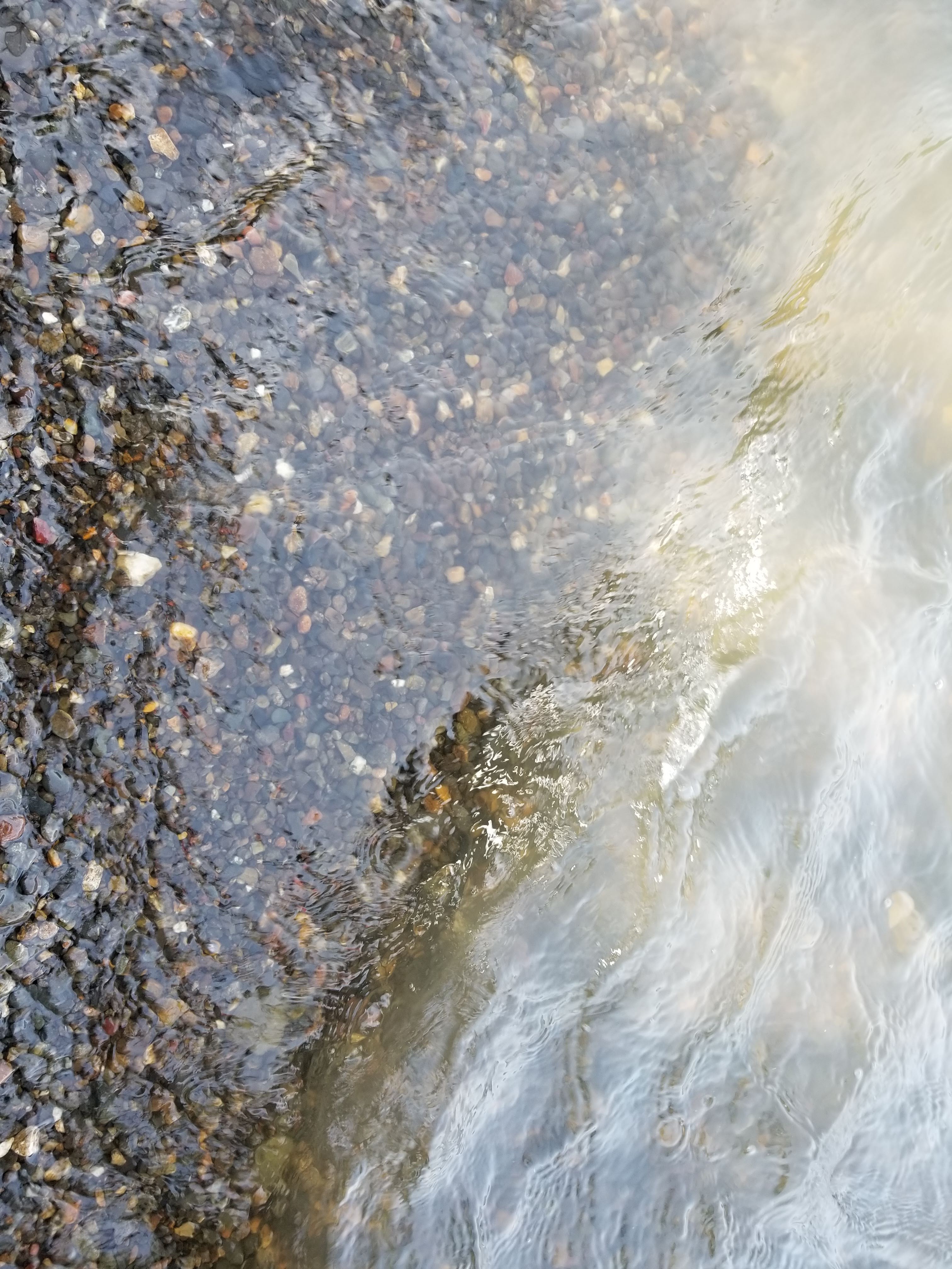 f:id:rainy_trout88:20230702082438j:image
