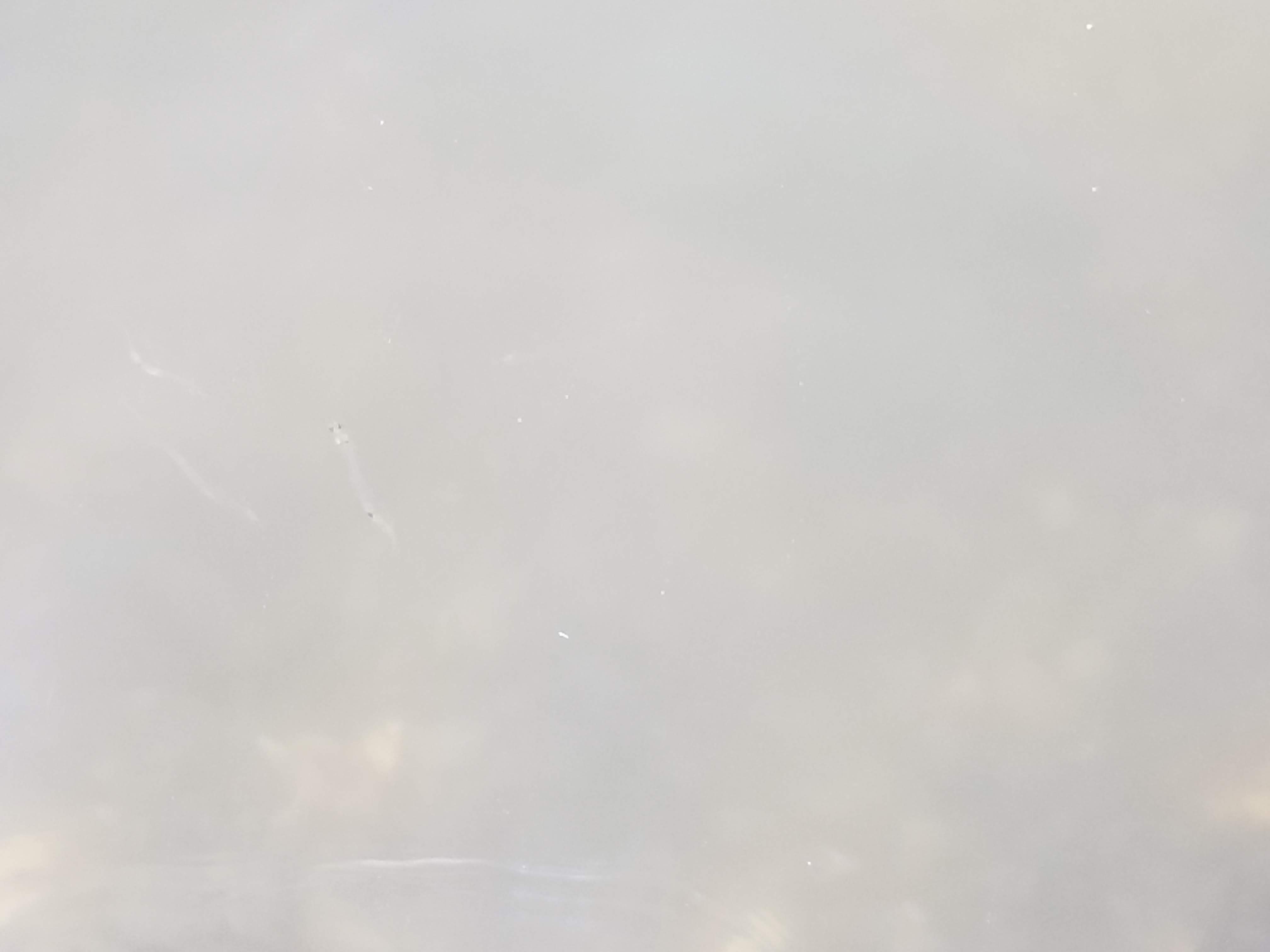 f:id:rainy_trout88:20230702082733j:image