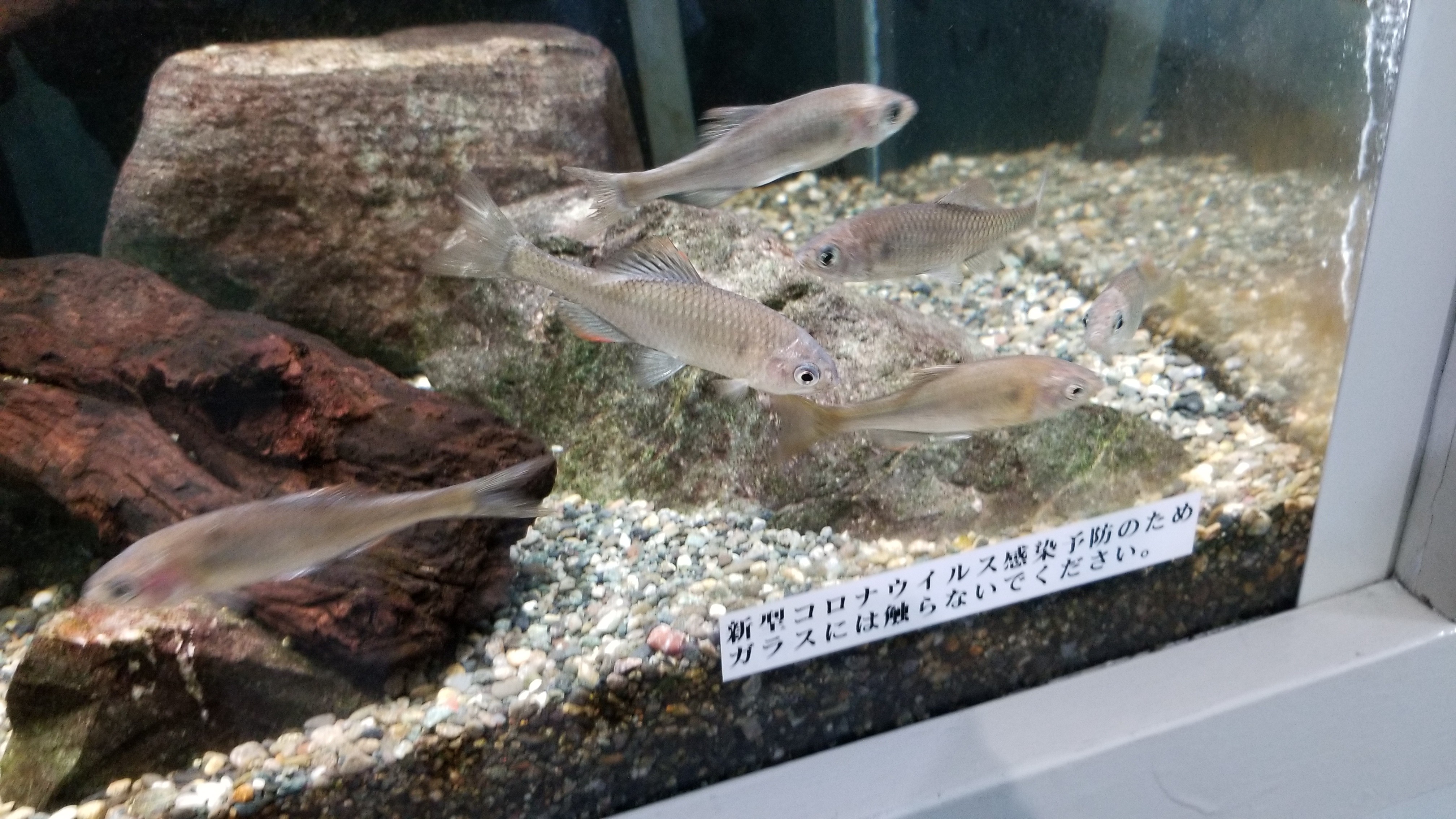 f:id:rainy_trout88:20230707181402j:image