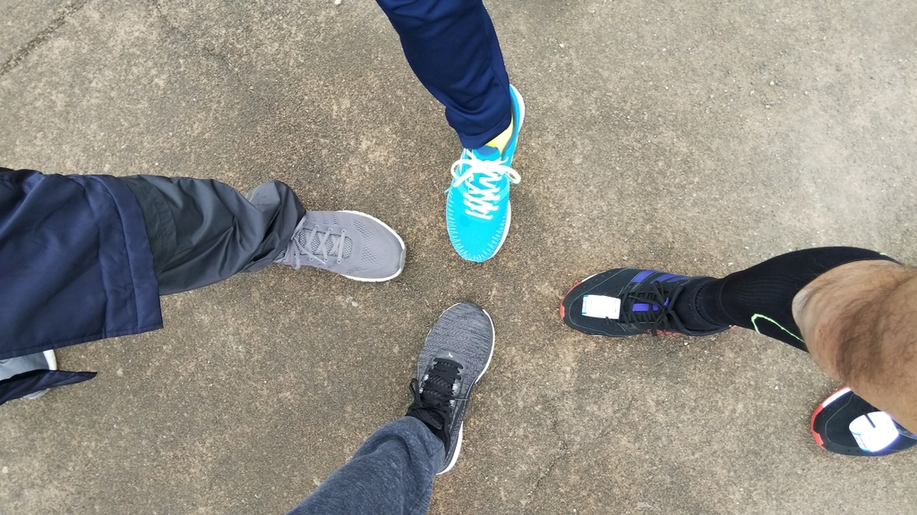 f:id:rainywood-609:20190114110022j:plain f:id:rainywood-609:20190114110022j:plain