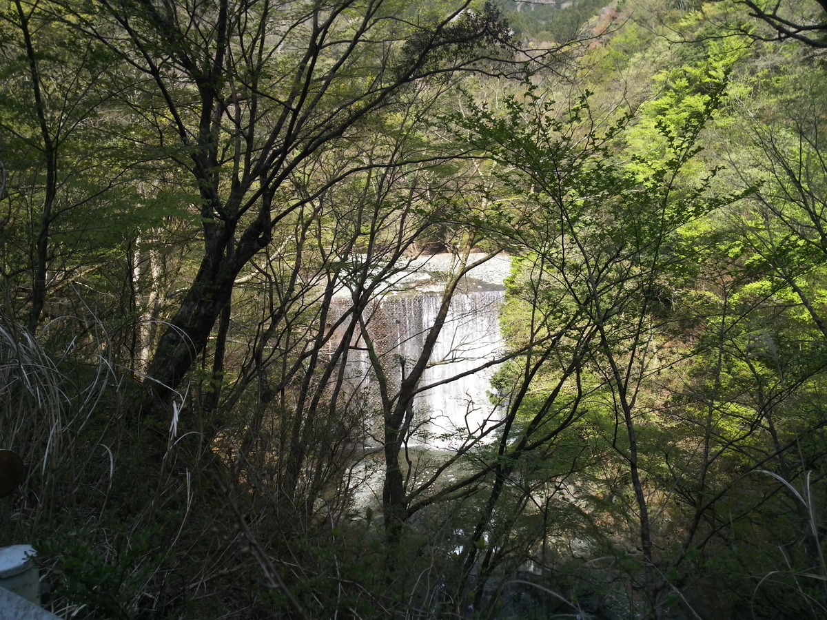 f:id:rainywood-609:20190422102235j:plain