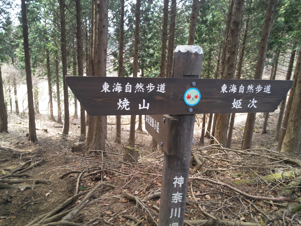 f:id:rainywood-609:20190423092959j:plain