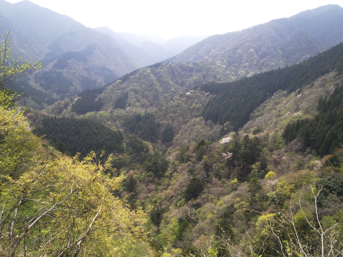 f:id:rainywood-609:20190423095152j:plain