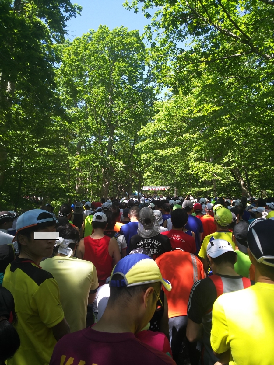 f:id:rainywood-609:20190604105748j:plain