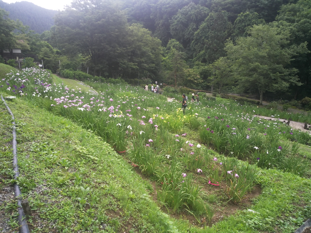 f:id:rainywood-609:20190624104356j:plain