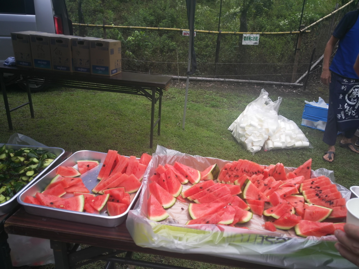 f:id:rainywood-609:20190624104516j:plain