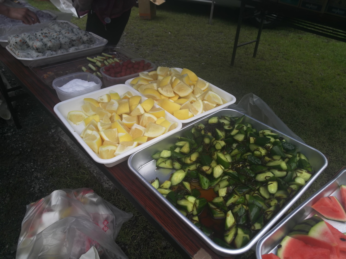 f:id:rainywood-609:20190624104539j:plain