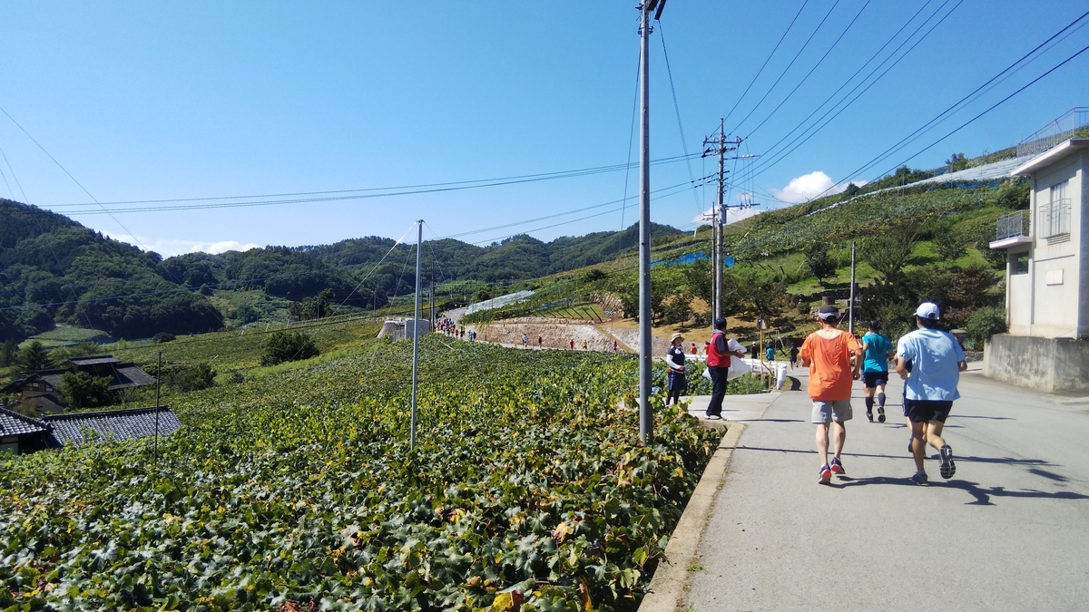 f:id:rainywood-609:20190917100846j:plain