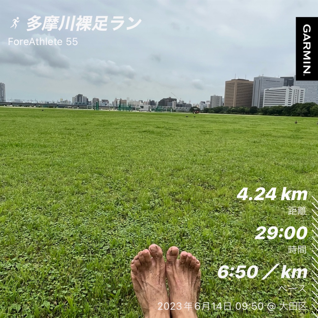 f:id:rainywood-609:20230614220737j:image