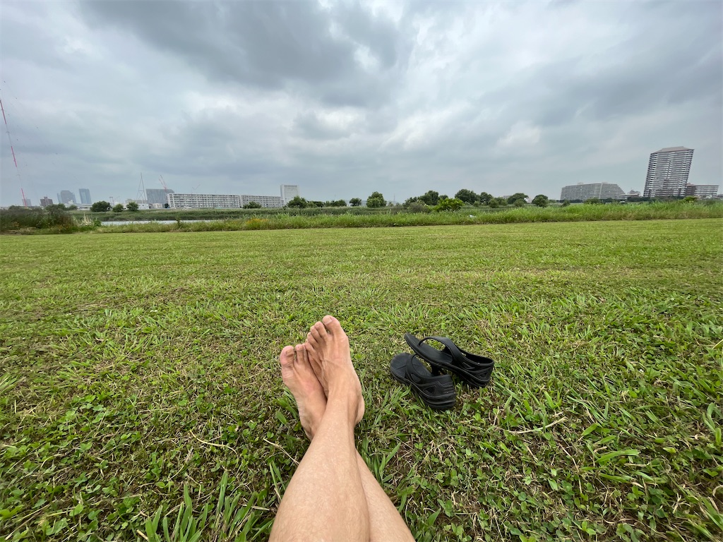 f:id:rainywood-609:20230628143658j:image