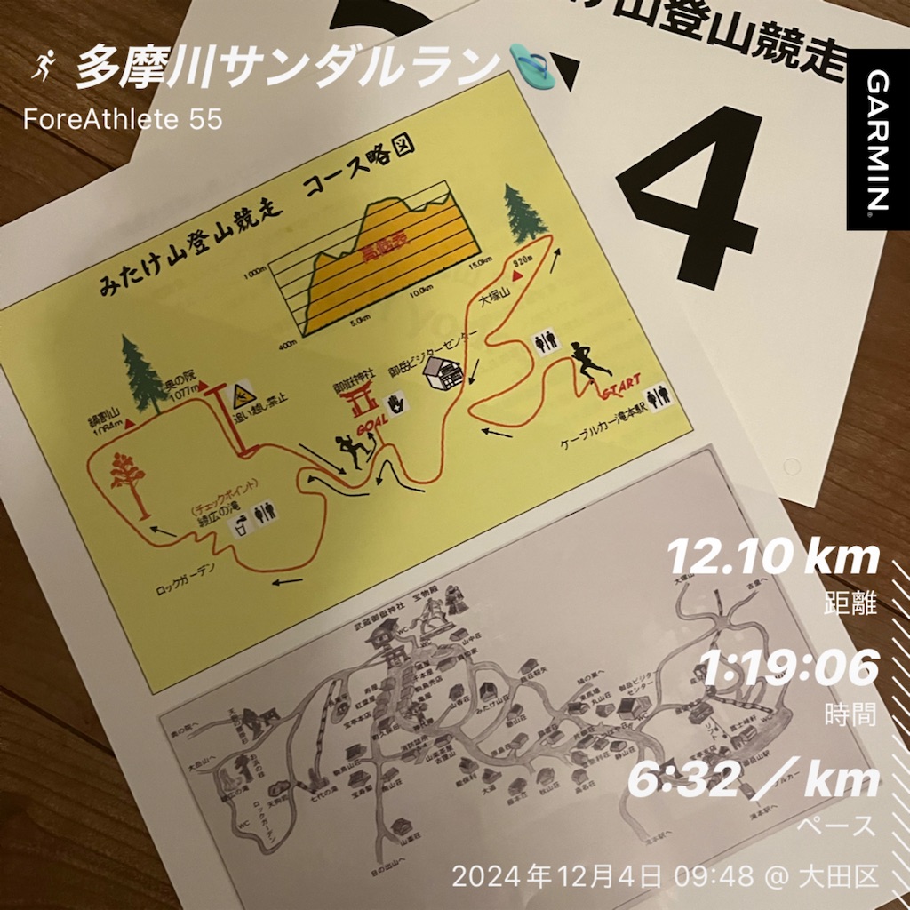 f:id:rainywood-609:20241204200253j:image